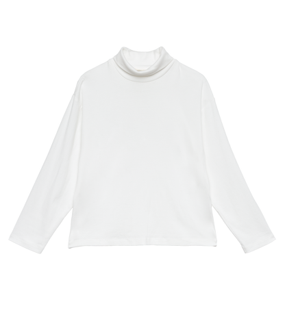 HAWTHORN TURTLENECK -- SALT